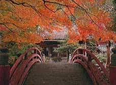 大澤寺